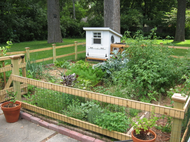 Vegetable Garden Fence Designs
