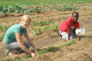 Working in the garden.