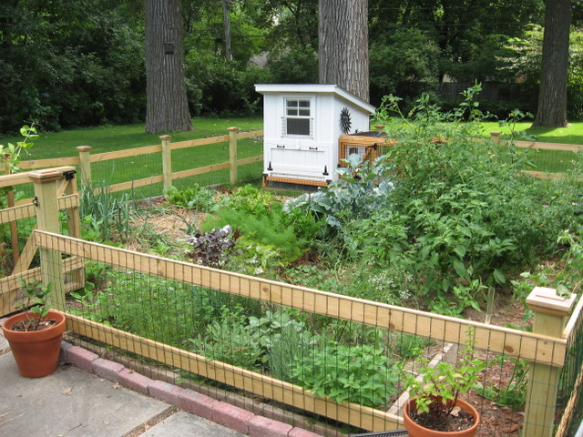 Garden on Pinterest | Vegetable Garden Design, Vegetable Garden and 