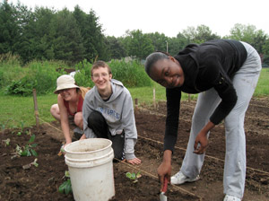 Some youths working in the garden.