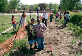 Boys holding some veggies they picked from the ground.