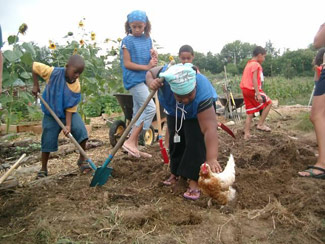 A girl petting a chicken.
