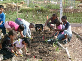 Kids planting in the garden.